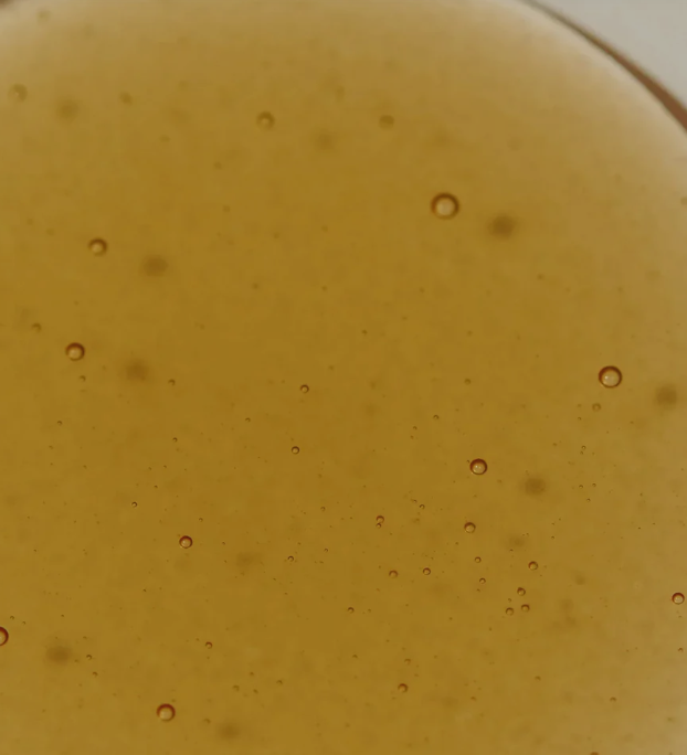 Shampoo de Proteína de Quinoa 400ml + Refil 500ml
