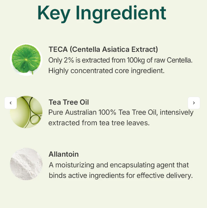 Pó para Tratamento da Acne com Tea Tree Madeca – 6 g