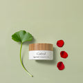 Creme para os Olhos Vegan Pureté 30g COEVAL Vegan